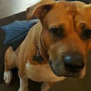 Meet your Posher, Anita